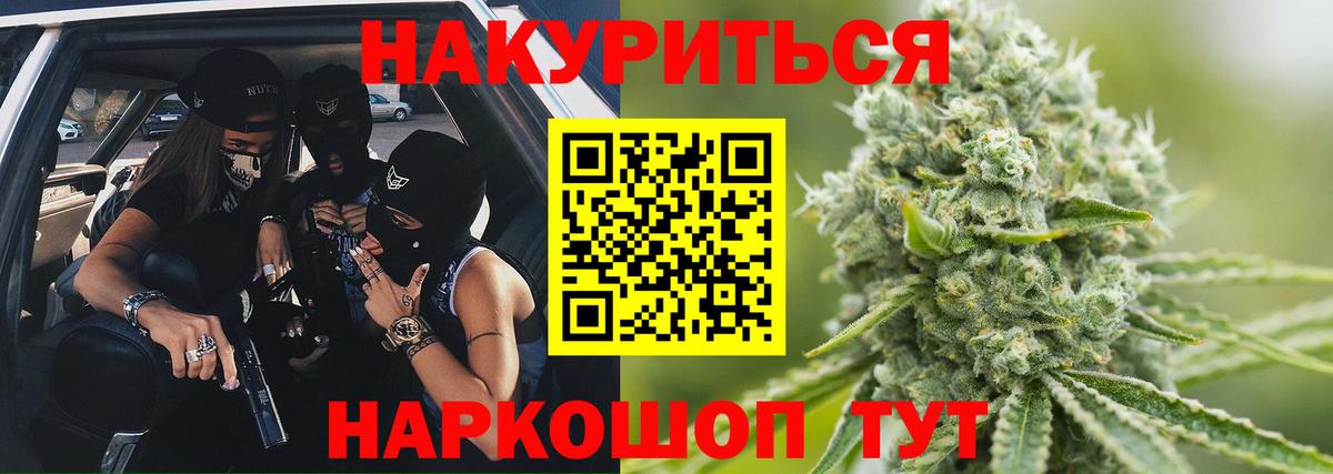 Конопля план Волгоград